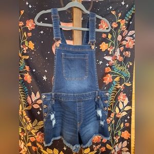 Celebrity Pink Shorts